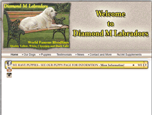 Tablet Screenshot of diamondmlabradors.com